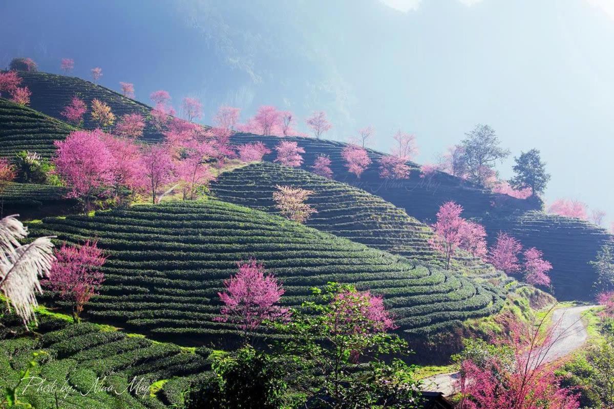 Ha Giang Hotel Sapa Ngoại thất bức ảnh