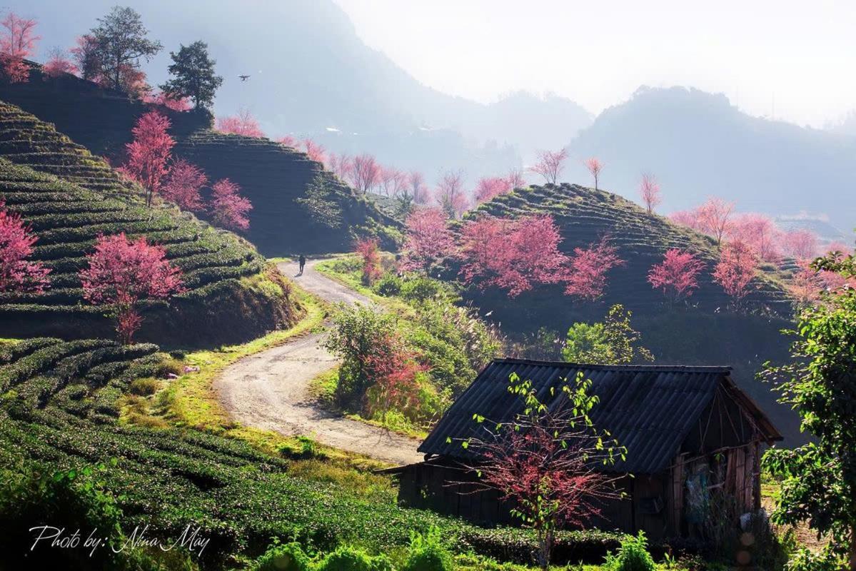 Ha Giang Hotel Sapa Ngoại thất bức ảnh