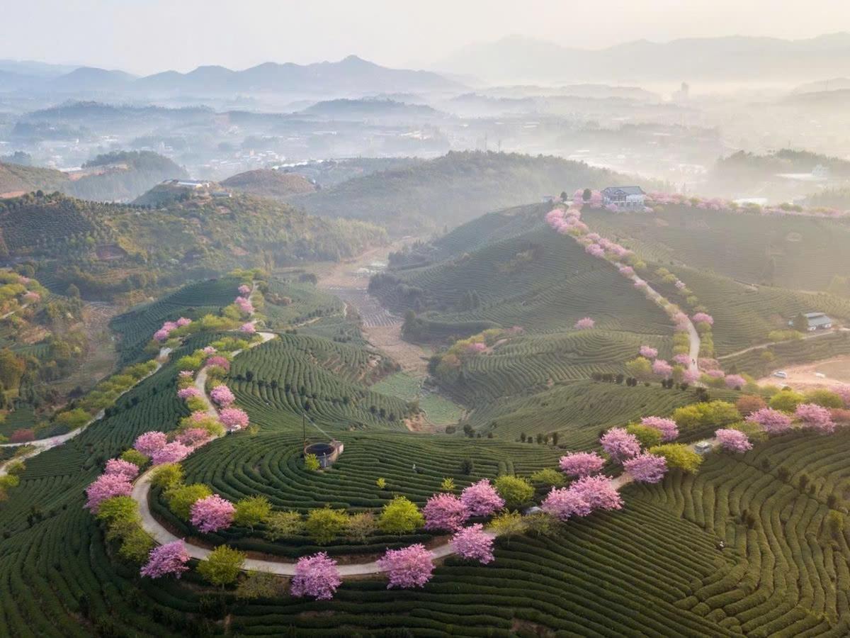 Ha Giang Hotel Sapa Ngoại thất bức ảnh
