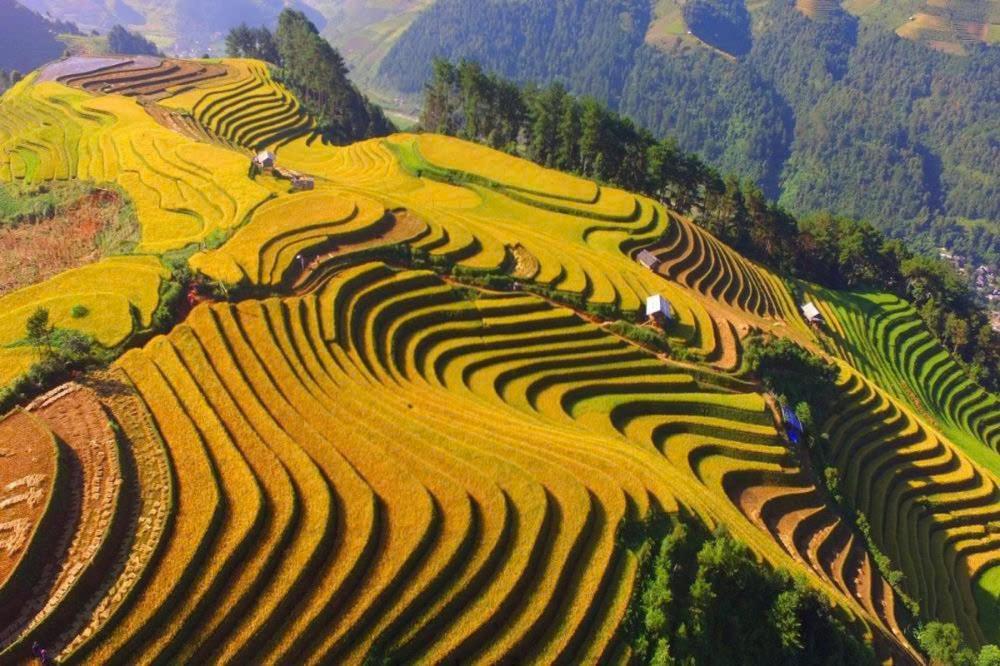 Ha Giang Hotel Sapa Ngoại thất bức ảnh